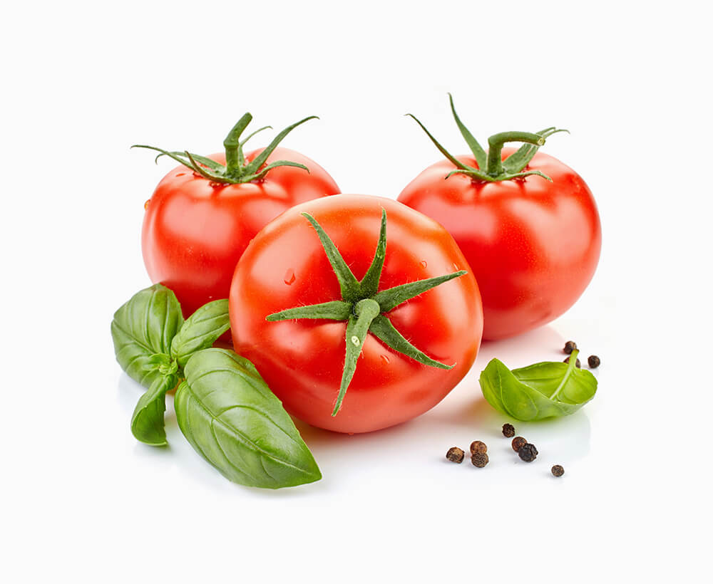 Shop Primary Image Shop Primary Image