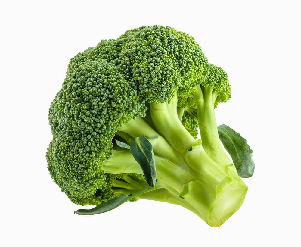 Shop Primary Image Shop Primary Image