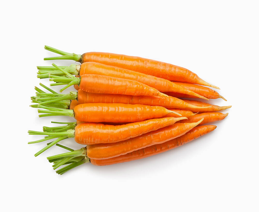 Shop Primary Image Shop Primary Image