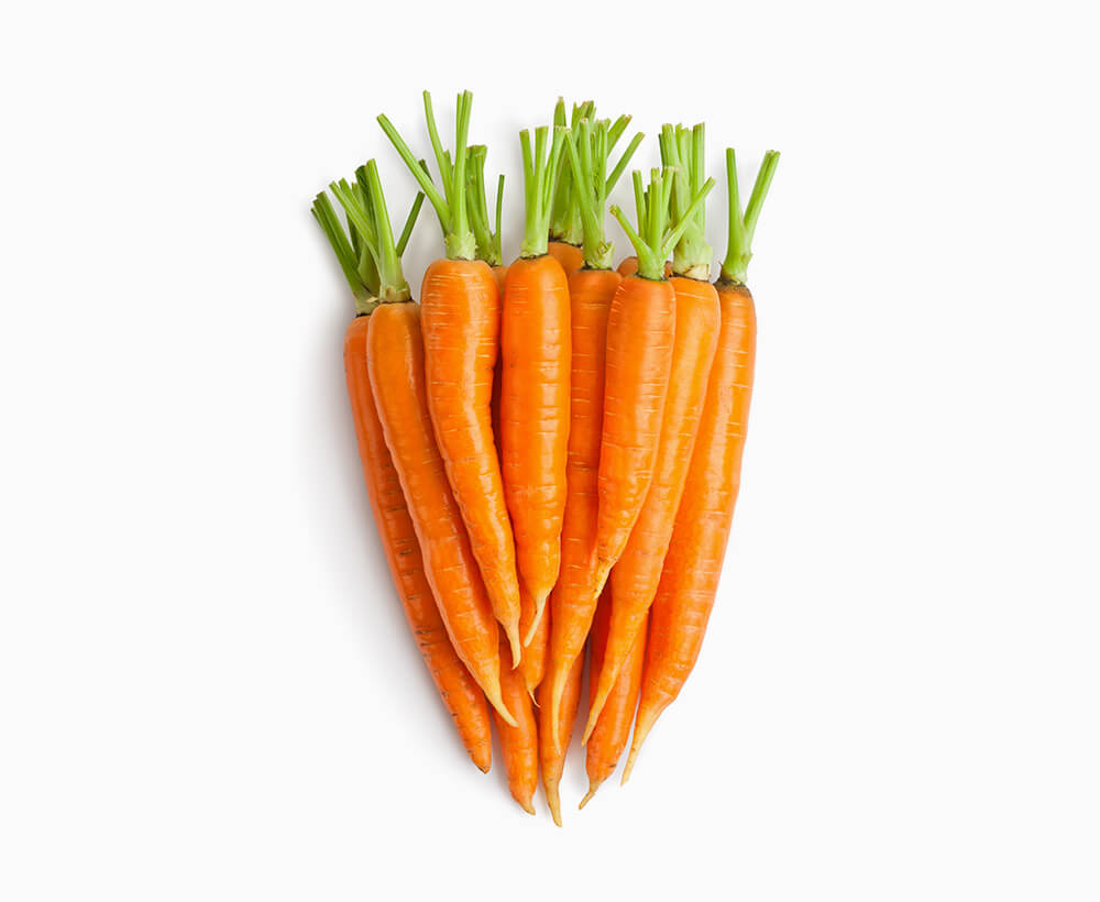 Shop Secondary Image Shop Secondary Image