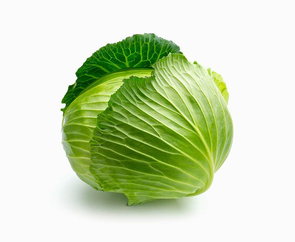 Shop Secondary Image Shop Secondary Image