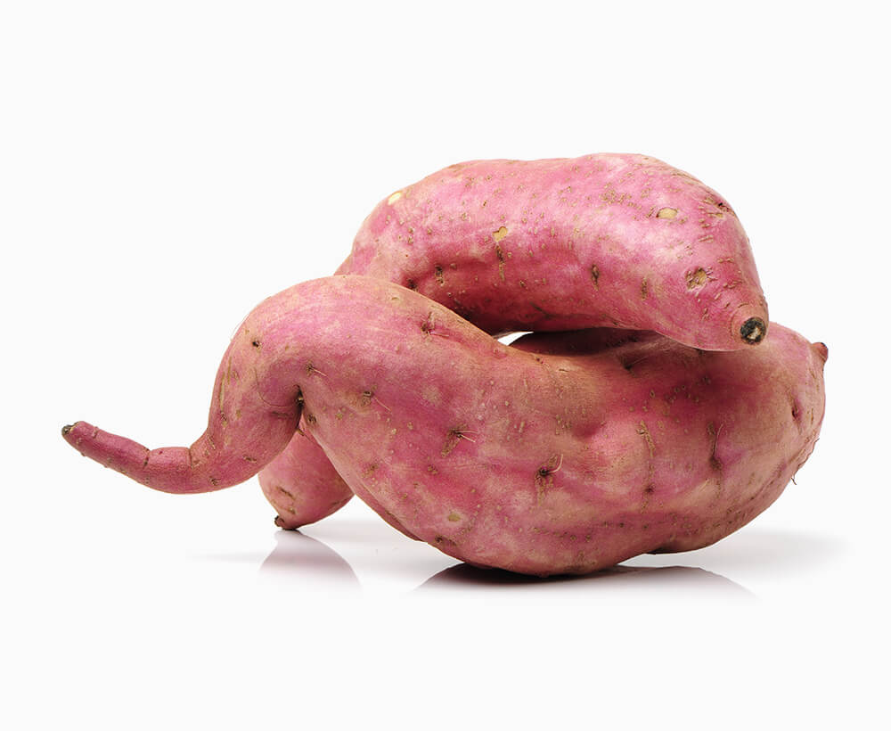 Shop Secondary Image Shop Secondary Image